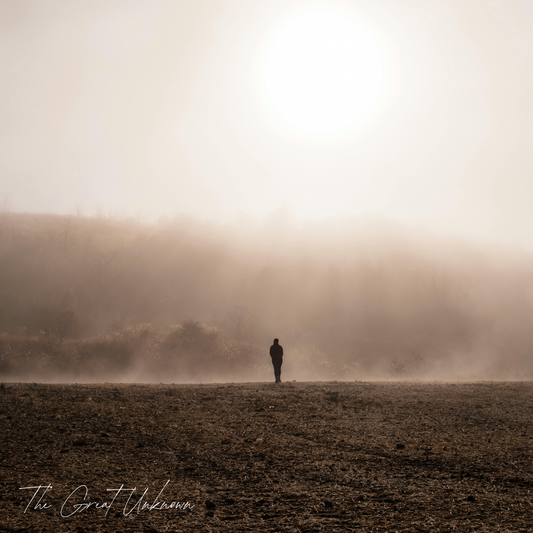 "The Great Unknown" Vinyl Album